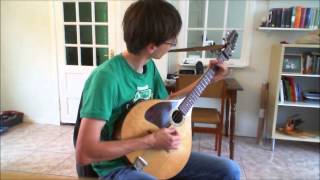 Irish Bouzouki  Morrisons Jig [upl. by Terrilyn493]