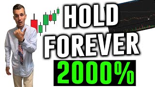 Top 3 Penny Stocks to Buy and Hold FOREVER  2000 [upl. by Eynahpets]