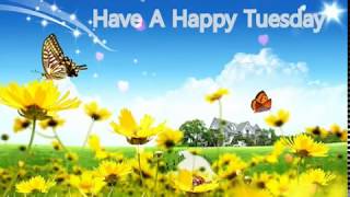 Happy And Blessed Tuesday To All My Friends GreetingsQuotesSmsWishesECard Whatsapp Video [upl. by Teews258]