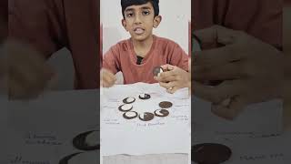 Phases of moon activity  SCIENCE  creative spot [upl. by Snah]