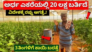 ಅರ್ಧ ಎಕರೆಯಲ್ಲಿ ಈ ರೈತ ಮಾಡುತ್ತಿರುವ ಚಮತ್ಕಾರ ನೋಡಿ  Capsicum farming in Kannada Karnataka chandanavana [upl. by Berenice]