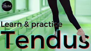 Battement Tendu Ballet Exercise  Beginner Ballet Barre  Tutorial [upl. by Idolem]