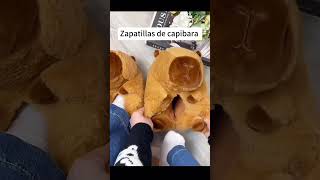 Zapatillas de capibara iboop iBOOP capybara peluches plush regalos gifts capibara dolls [upl. by Oneill41]