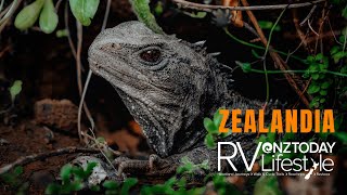 Zealandia  A wildlife sanctuary like no other in New Zealands capital city [upl. by Peskoff676]