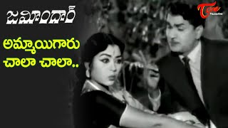 Ammayigaru Chala Chala Song  Zamindar movie  ANR Krishna Kumari Superb Song  Old Telugu Songs [upl. by Susette49]