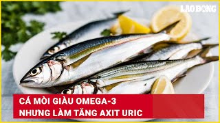 Cá mòi giàu omega3 nhưng làm tăng axit uric  Báo Lao Động [upl. by Greenes]