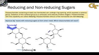 1705 Reducing and Nonreducing Disaccharides [upl. by Dweck389]