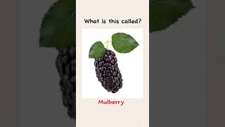 Types of berry learnenglish improveenglish esllearners english englishlearning englishwords l [upl. by Tehr551]