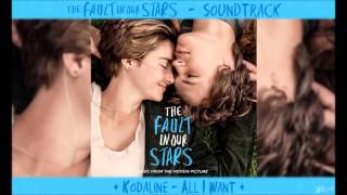 Kodaline  All I Want  TFiOS Soundtrack [upl. by Leela]