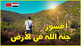 هضرنا مغربي إستعدادا لأقشور 🇲🇦 🇪🇬 EP 17 [upl. by Jeanna]