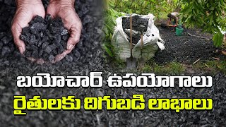 బయోచార్ ఉపయోగాలురైతులకు దిగుబడి లాభాలు  Biochar Uses For Farmers [upl. by Sakram]