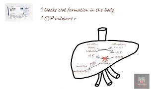 DRUGS THAT REDUCE WARFARIN EFFECTS MNEMONIC [upl. by Sharl58]