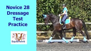 Novice 28 Dressage Test 2008 Learning Tool [upl. by Nitsirc285]