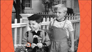 Antenna TV  quotDennis the Menacequot Premiere October 4 1959 [upl. by Shurlock]