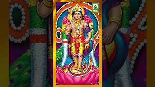 முத்தமிழன்  Deiveega Kathamba Maalai  Murugan Padal  Mayil Audio shorts murugan godsongs [upl. by Nae]