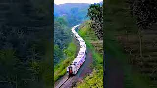 the iron snake slithered  Ciremai Train train keretaapi ciremai [upl. by Lemhar]