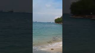 Sentosa island Singapore sentosa singapore beach oceanlife [upl. by Lubba969]