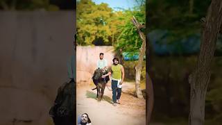 Surajactor new bade miya chhote miya shorts surajactor shorts viral video hogaya [upl. by Enelloc]