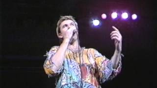 Australian Crawl  Louie Louie Live 1983 [upl. by Auod]