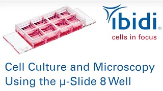 Cell Culture and Microscopy Using the µSlide 8 Well [upl. by Aylmar]