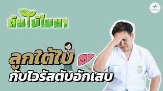 ต้นไม้ใบยา EP5 ลูกใต้ใบกับโรคไวรัสตับอักเสบ [upl. by Nauaj431]