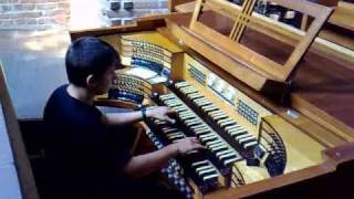 Hes a pirate  Organ Version  Pirates of the Carribean [upl. by Airakaz]