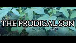 The Prodigal Son Short Film [upl. by Eladnyl]