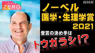 サイエンスZERO ノーベル医学・生理学賞2021 ZERO流解説でまるわかり！ 人体の感覚に関わるタンパク質を発見！ NHK [upl. by Fredric415]