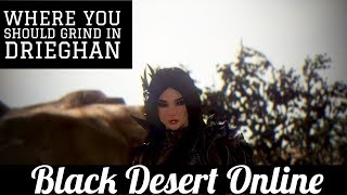 Black Desert Online BDO Where You Should Grind in Drieghan [upl. by Amalia629]