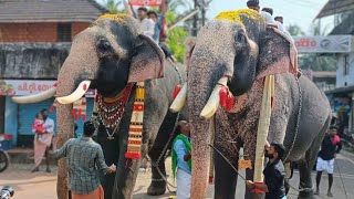 മങ്ങാടിന്റെ മണ്ണിൽ വാശിയേറിയ പോരാട്ടം🥵 നന്തിലത്ത് ഗോപാലകൃഷ്ണനും പുതുപ്പള്ളി സാധുവുംmangad pooram [upl. by Zingale]