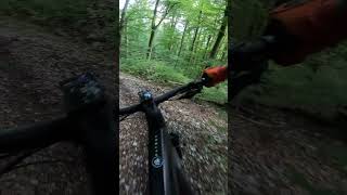 Unfreiwillige Drifts auf losen Trails an der Lägern🤘enduromtb mtb mountainbike shorts short [upl. by Hedda]