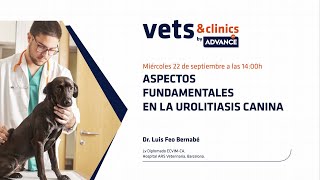 44ES quotAspectos fundamentales en la urolitiasis caninaquot [upl. by Eseenaj581]