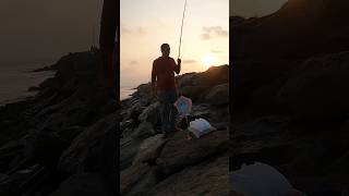 Stingray fishing fishing beachfishing fishingvideo fish fishingtechniques [upl. by Junina7]