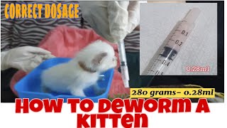 HOW TO DEWORM A KITTEN [upl. by Annayat]