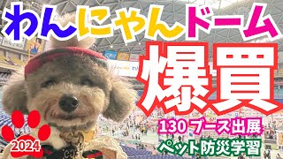 【わんにゃんドーム2024名古屋】新商品爆買い！130ブース出展＆ペット防災対策紹介inバンテリンドームナゴヤ 前編💗【犬イベント・無料サンプル】 [upl. by Bore575]