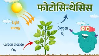 फोटोसिन्थेसिस  प्रकाश संश्लेषण  Photosynthesis In Hindi  DrBinocs Show  Binocs Ki Duniya [upl. by Akiret]