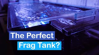 The Perfect Frag Tank [upl. by Radie]