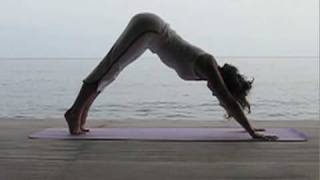 Yoga part 1 with Anusara Yogi Bridget Woods Kramer 15 min daily practice [upl. by Ashlee]