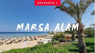 Marsa Alam  Bravo Fantazia  Primo snorkeling dalla spiaggia Pt1 [upl. by Hach66]