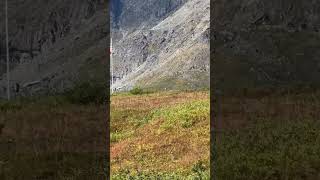 HATCHER PASS ALASKA CABIN [upl. by Azrim273]