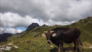 Bregenzerwald Wanderung Wunderschöne kleine Runde im Widdersteingebiet vom Hochtannbergpass aus [upl. by Itirp]