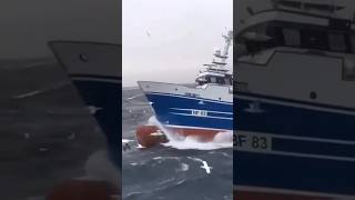 Ever Wondered How Ships Stay Stable🛳️🤔 ship stabilization shortvideo [upl. by Larrej122]