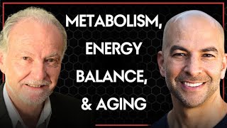 324‒Metabolism energy balance and aging the impact of diet calorie restriction amp macronutrients [upl. by Portland130]