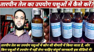 तारपीन तेलTurpentine Oilका उपयोग पशुओं में कैसे करेंTurpentine oil ka upyog pashuon Mein kase kar [upl. by Starobin]