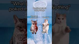 CAT MEMES 🐱 Showering with my boyfriend catmemes relatable relationship shorts [upl. by Amek]