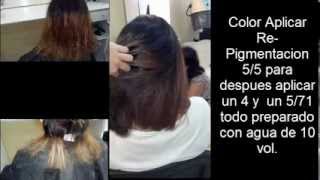 Colorimetria Reparar Cabello Dañado COLORIMETRY Repair Damaged Hair [upl. by Akisej23]