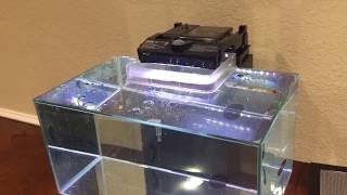 Fluval Edge Aquarium Review [upl. by Endres]