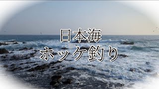 ホッケ釣って美味しい干物を作りたい。北海道釣り ホッケ釣り 干物 [upl. by Mannes]