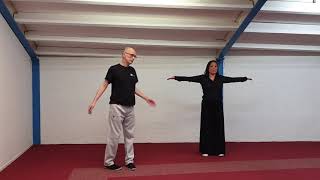 Qigong les 7 Martiale Qigong voor Wushu en Kung Fu De Bodhidharma serie [upl. by Ricky811]