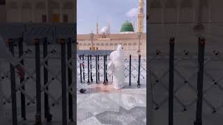 madina love cute madinasharif [upl. by Christen]